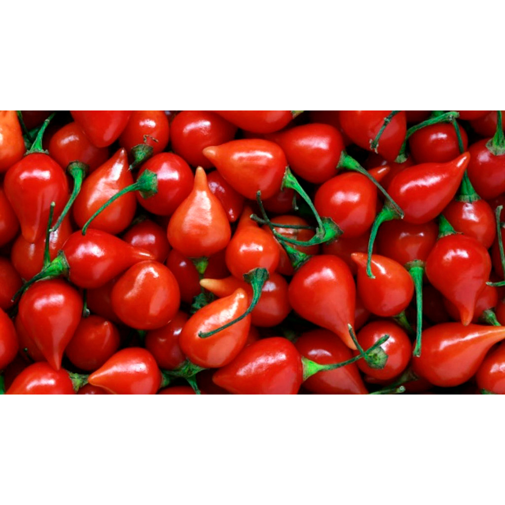 Pimenta No Pote Biquinho Malagueta Cheiro
