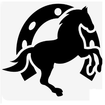 adesivo cavalo ferradura para carro moto e caminhão