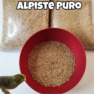 Alpiste Puro (1Kg) em Oferta na Shopee