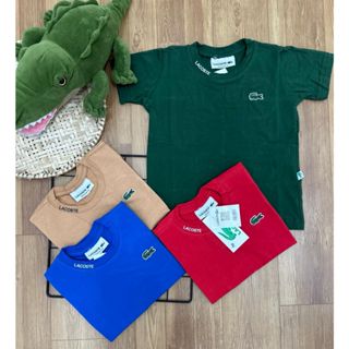 Camisa Infantil malha elastano Menino Camiseta Básica Manga Curta do 02 ao 16 Lançamento 2024