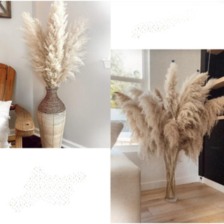 Capim Dos Pampas 3 unidades Decoração Loja Vaso  Moderna Rustica Luxo. em Oferta na Shopee