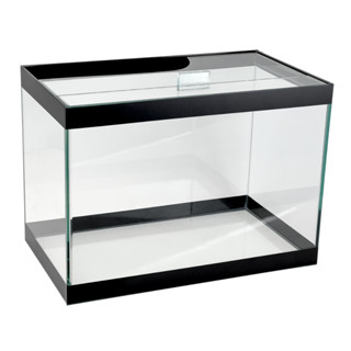 Aquário 30 litros 40x25x30cm lapidado e polido Vidro 4mm peixes agua doce e salgada
