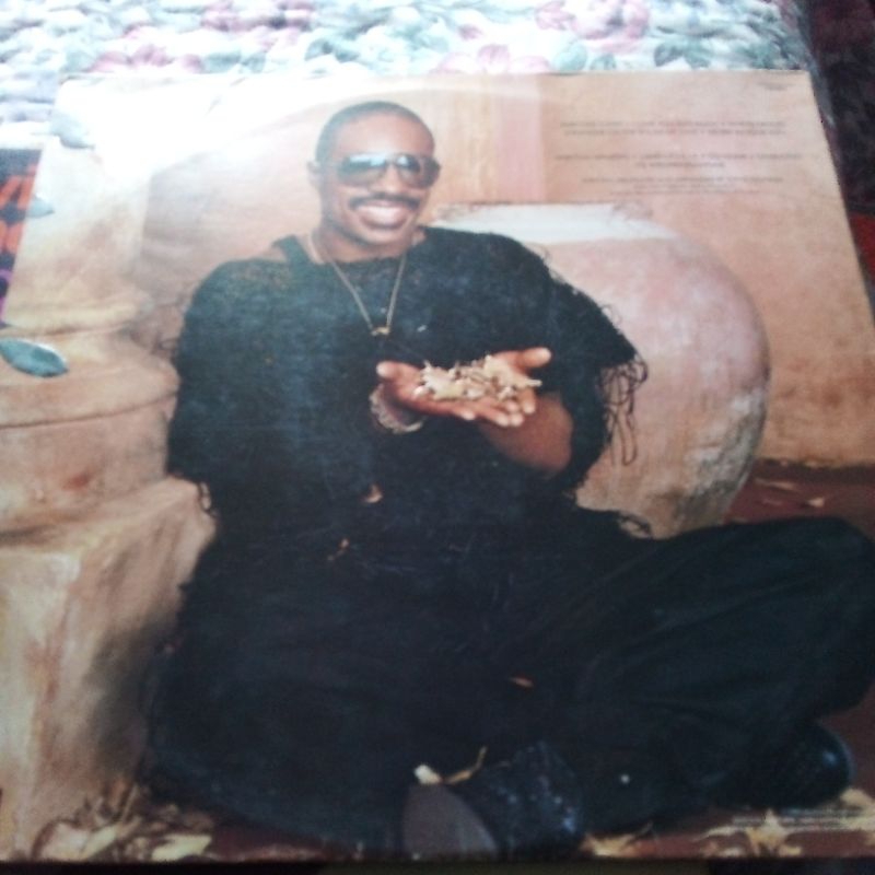 Disco Vinil Stevie Wonder in square circle com encarte