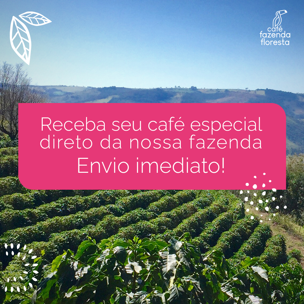 Kit Cafés Especiais Torrado E Moído (1 Clássico / 1 Reserva / 1 Arara / 1 Intenso) 4 Pacotes De 250g