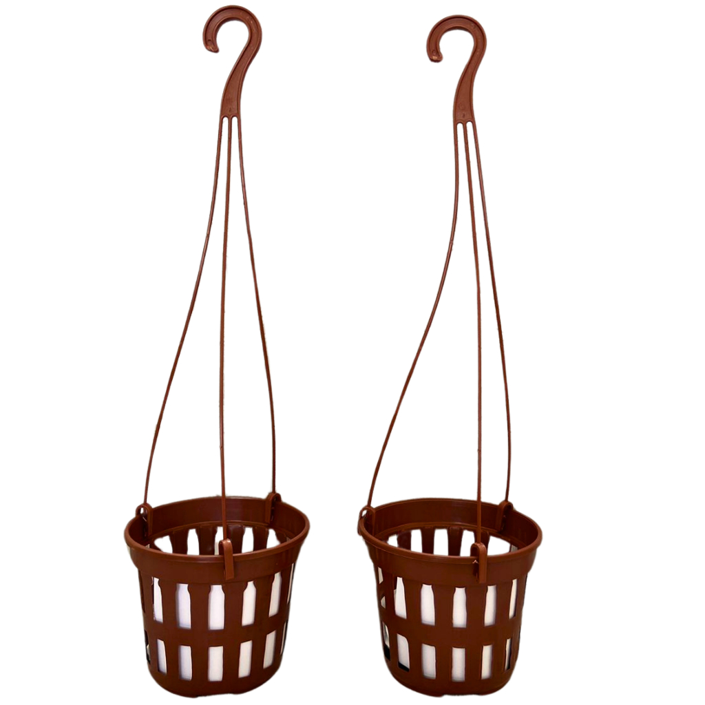 Kit 5 Vasos + 5 Hastes Para Orquídea Pt 15 Plástico Vazado Marrom