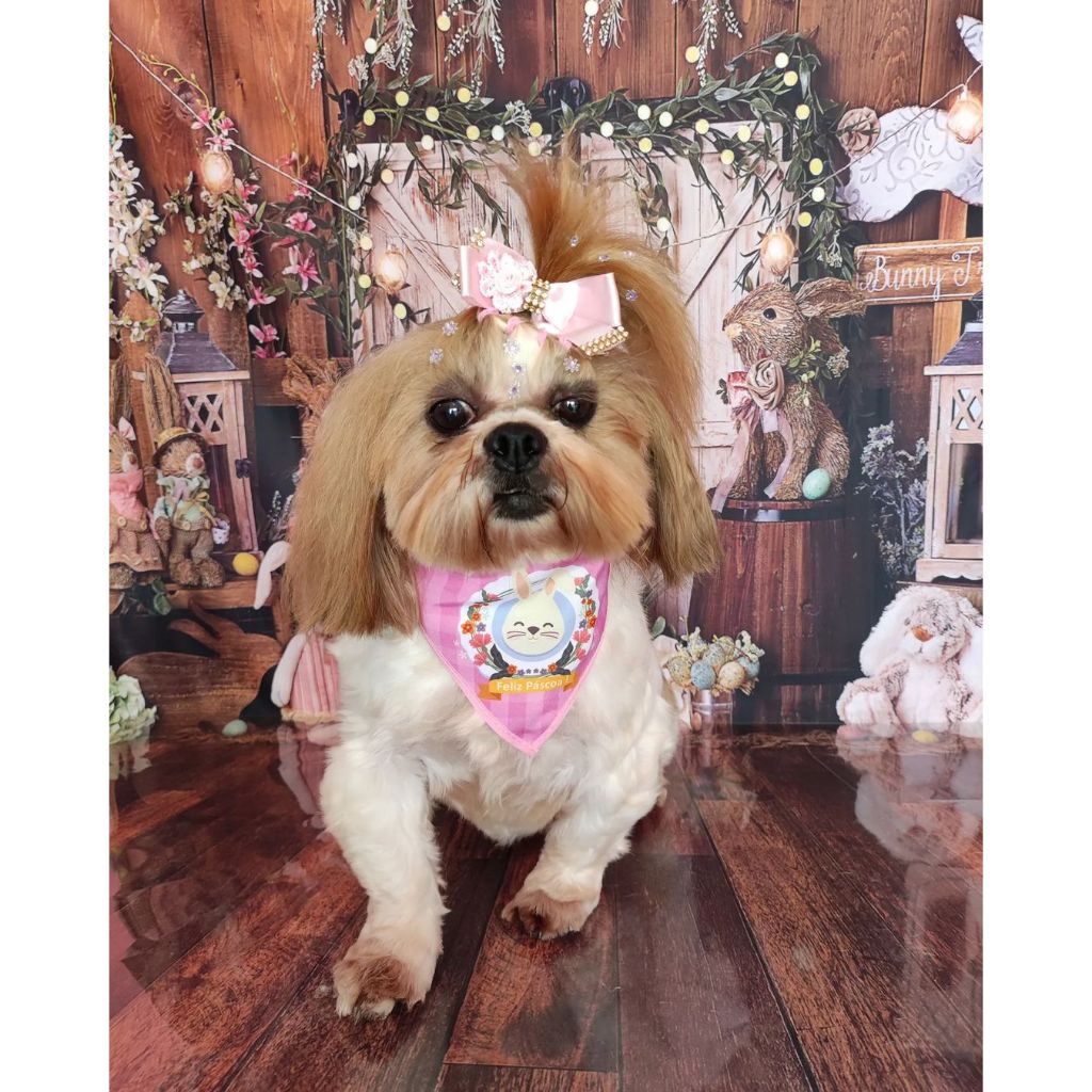 50 Bandanas Tamanho G Com Viés de Páscoa Estampas Variadas Pet Shop
