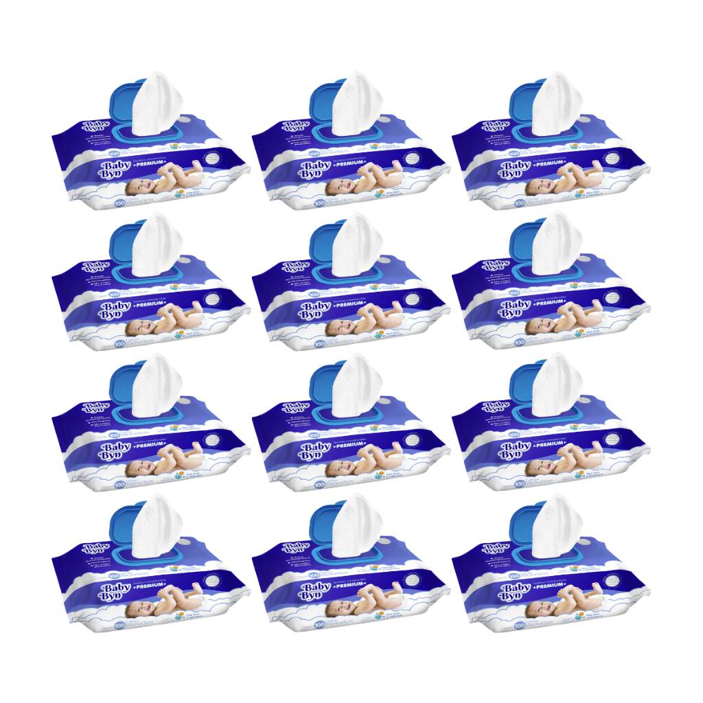 TOALHA UMEDECIDA BABY BYN KIT1200 (12PCTS X 100FLS)