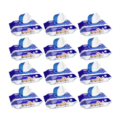 TOALHA UMEDECIDA BABY BYN KIT1200 (12PCTS X 100FLS)