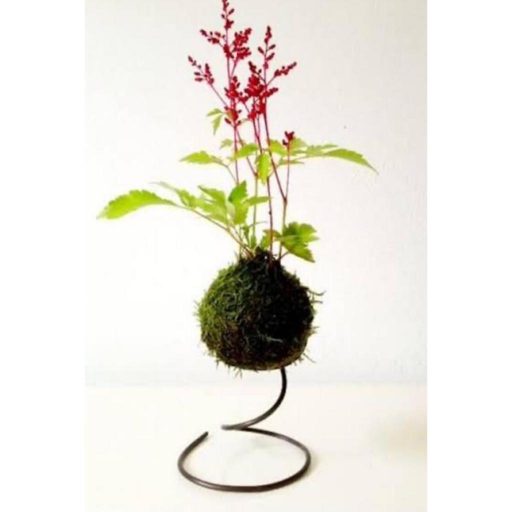 3 suportes aramados para Kokedama e Suculentas (3 modelos diferentes). em Oferta na Shopee