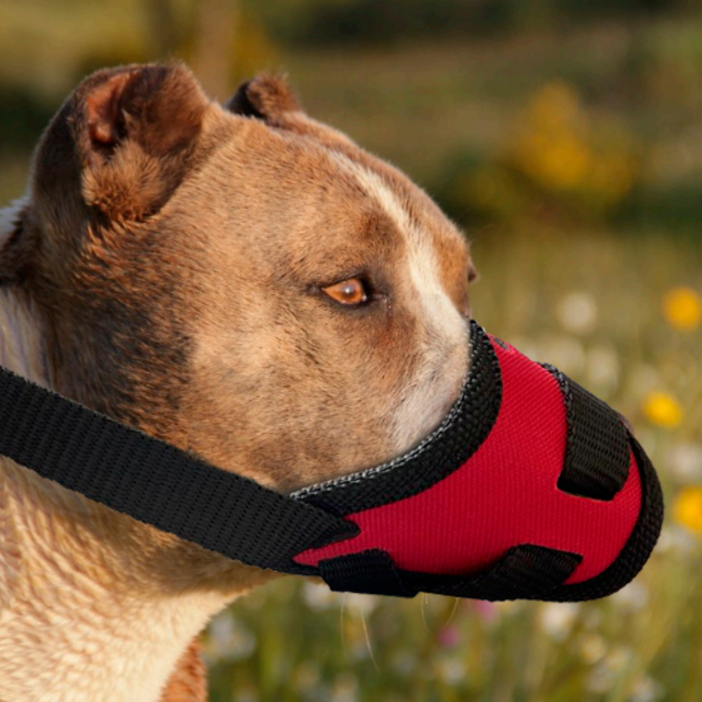 Focinheira para cachorro com regulagem confortavel pit bull porte grande medio pequeno
