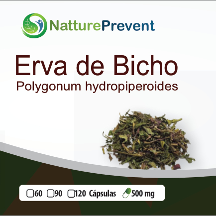 Bi-ChuCaps Bi-XoCaps 500mg 60 / 90 / 120 Cápsulas - Suplemento Alimentar Natural