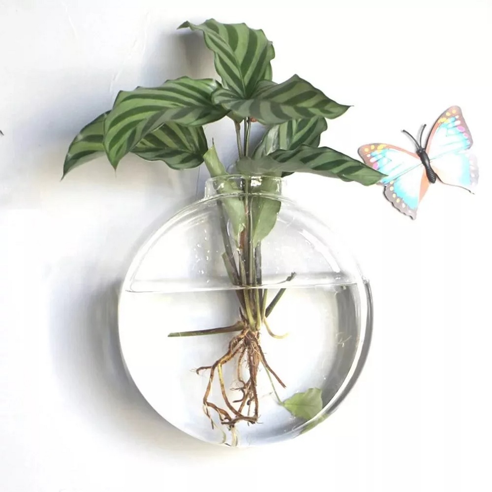 Vaso De Vidro Parede Pendurado Tanques De Peixes Hydroponic Hidropônicos Terrarium Plantas...