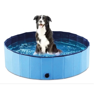 Piscina Dobrável Animais De Estimação PVC Azul Portátil Pet em Oferta na Shopee