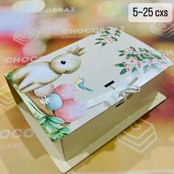 5~20 Caixas Livro Borda Premium P/2 Ovos de Páscoa 50g Páscoa Encantada 4888 (PASCOA IDEIA OUTLET)OFERTA