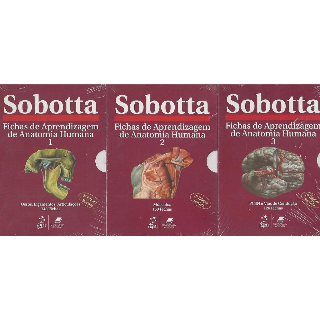 Sobotta - Fichas De Aprendizagem De Anatomia Humana - 3 Volumes