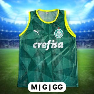 regata de time do palmeiras verde lançamento 23/24 vestindo do p ao gg garanta ja a sua