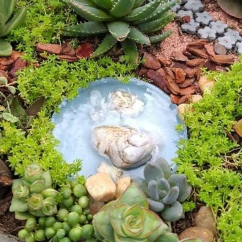 Lago de Resina Médio | Miniaturas Terrários | Jardim Das Fadas | Micro Paisagismo | Decora...