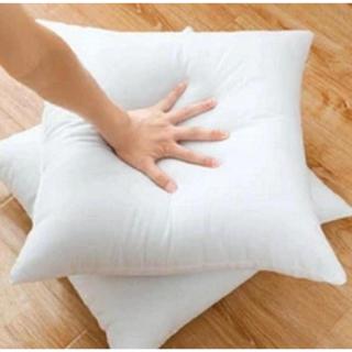 Kit 2 Refil de Silicone Puro 100% Para Capa de Almofadas 45x45 em Oferta na Shopee