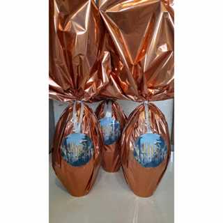 OVO DA PASCOA HARRY POTTER 350G