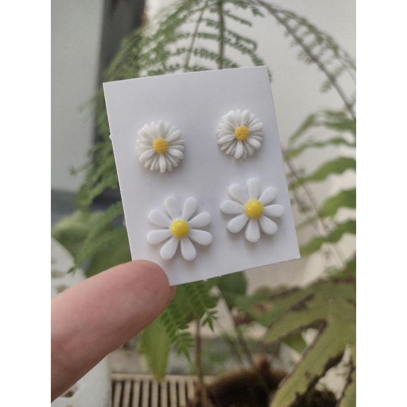 brincos margarida em Oferta na Shopee