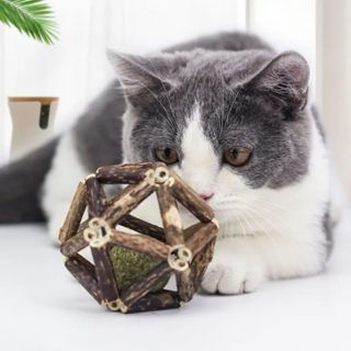 Brinquedo Gato Matatabi bolinha Lamber Catnip Limpa Dente em Oferta na Shopee