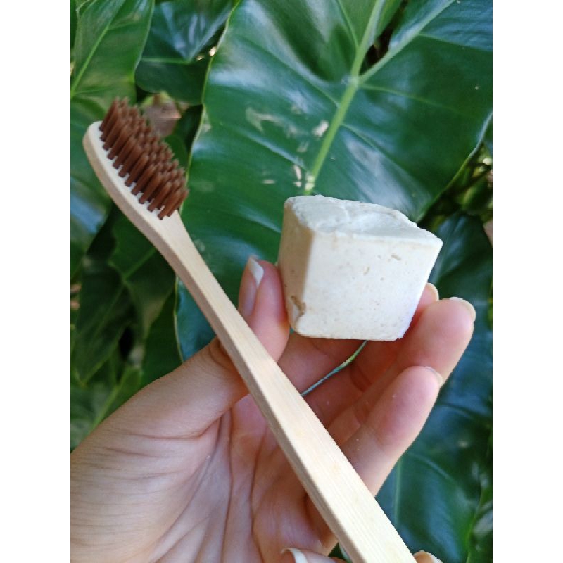 KIT PASTA DE DENTE EM BARRA E ESCOVA DE DENTE ECOLOGICA DE BAMBU| Escova de dente amigavel | Sustentavel Natural Vegano