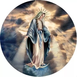 Capa de Estepe Ecosport Crossfox Aircross Nossa Senhora em Oferta na Shopee