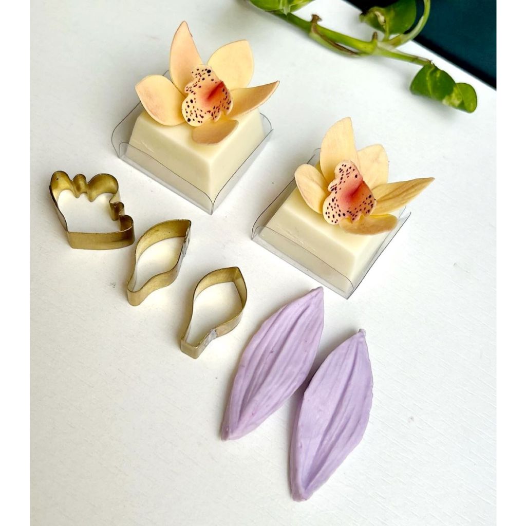 Mini kit frisador e cortador da orquídea cymbidium em Oferta na Shopee