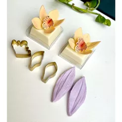 Mini kit frisador e cortador da orquídea cymbidium