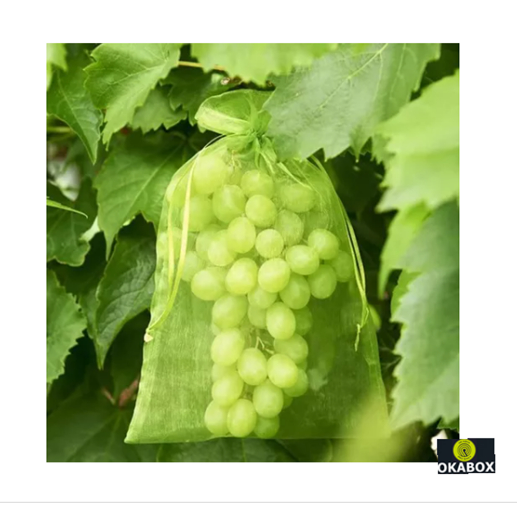 20 Saquinhos para proteção de frutas no pé lavavel organza Tamanho 20x30 em Oferta na Shopee