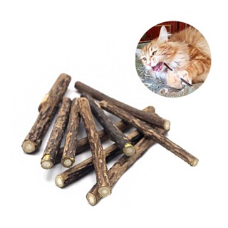 Palitos Matatabi de Catnip para Gatos Limpeza Dental e Diversão Natural (Pacote com 8 Unidades)