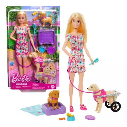 Boneca Barbie E Cachorro Na Cadeira De Rodas Mattel - Htk37 - Mom & Baby