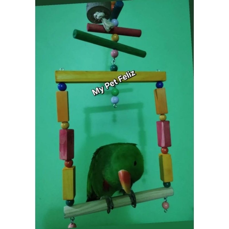 Balanço para papagaio - balanço para ring neck - balanço para loris - colorido