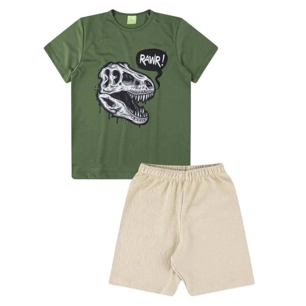 Conjunto Menino Infantil Bermuda e Camiseta Masculina Verão - Lisa Estampada Desenho