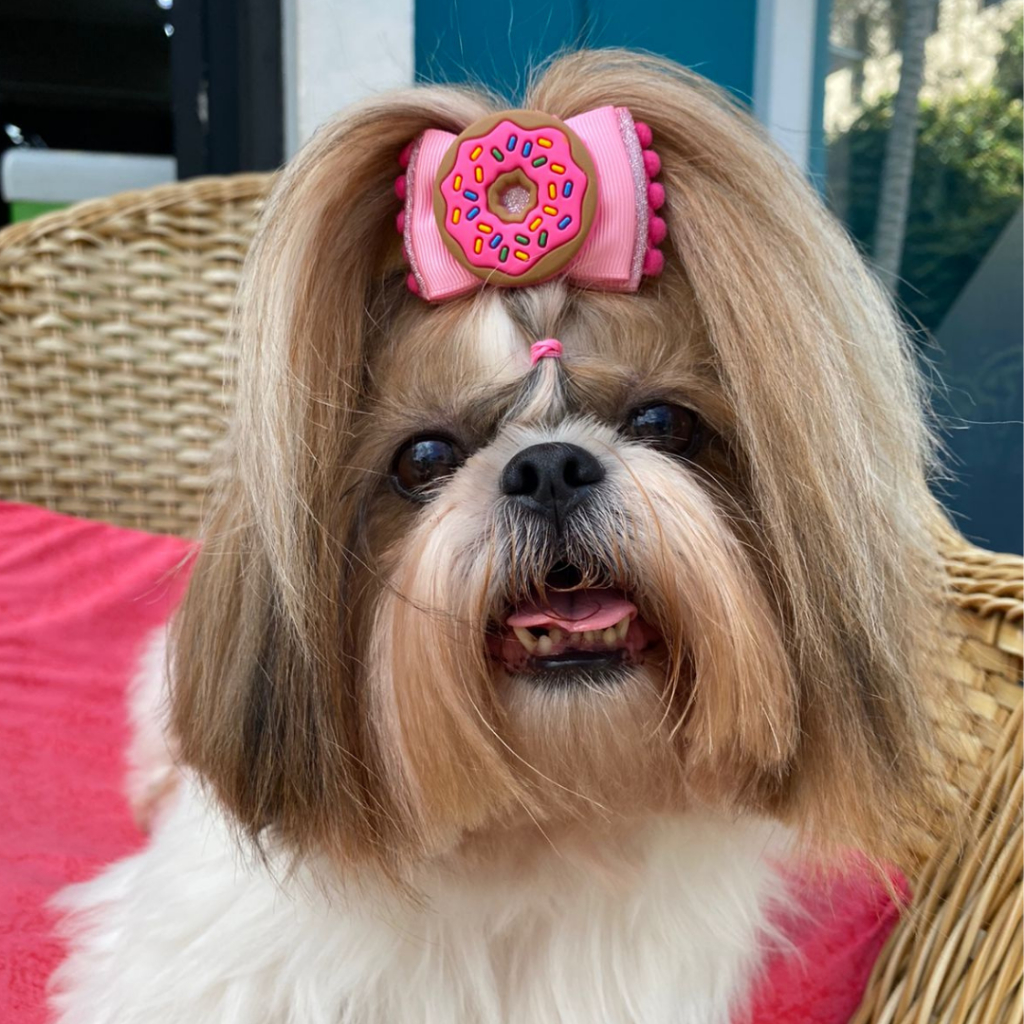 Lacinhos para Pets Fêmeas – Laços Delicados, Coloridos e Charmosos