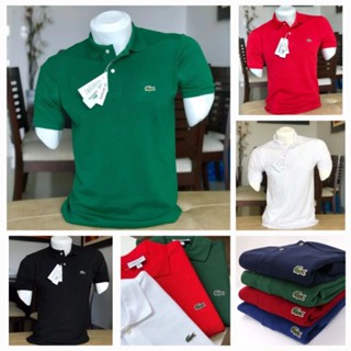 Camisa Polo Masculina Tradicional Diversas Cores Linha Premium Malha Piquet