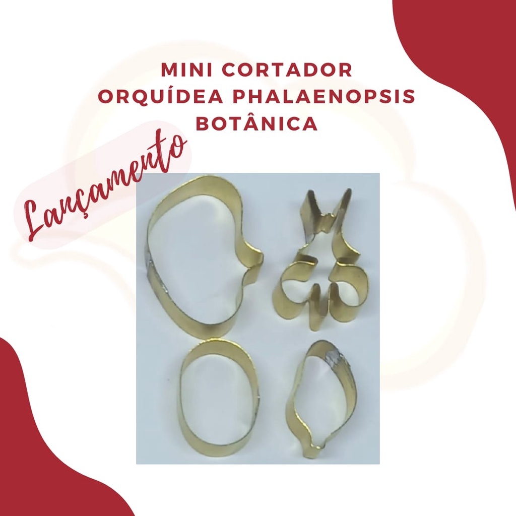 MINI KIT CORTADOR ORQUIDEA PHALAENOPSIS BOTANICA