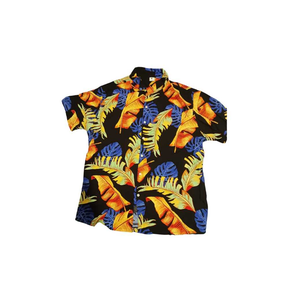 Camisa Viscose Penas Pierry Lohan