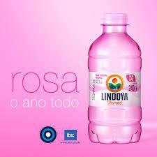 12 Água Mineral Lindoya verão Rosa 240ml Garrafa especial ROSA