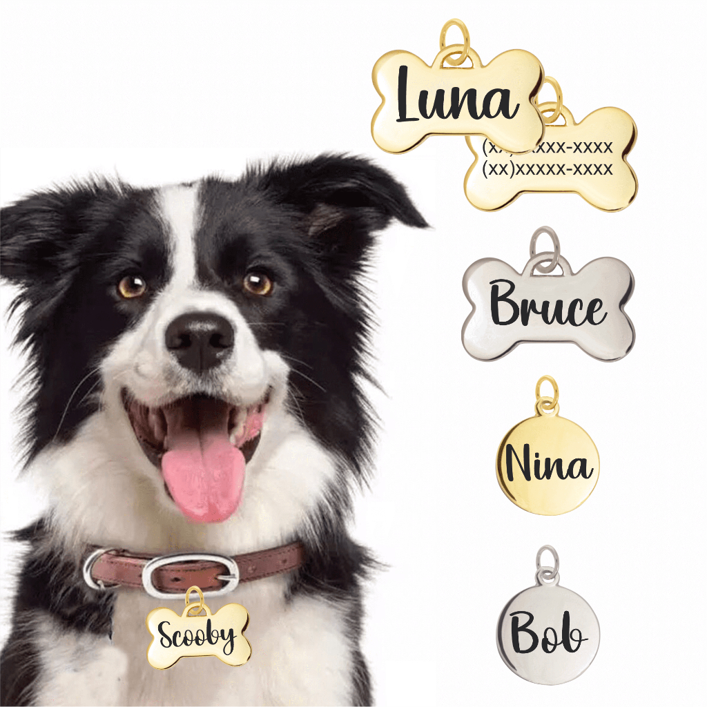 Placa de Identificação Pet Plaquinha Pingente personalizado Cachorro Cão Gato em Oferta na Shopee