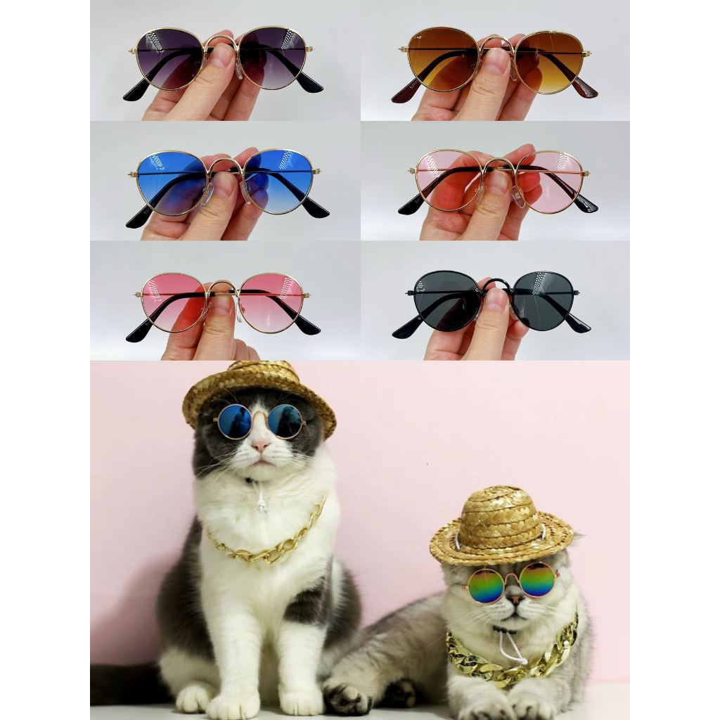 Óculos de sol pet redondo para gato e cachorro cor colorida
