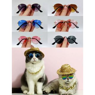 Óculos de sol pet redondo para gato e cachorro cor colorida em Oferta na Shopee