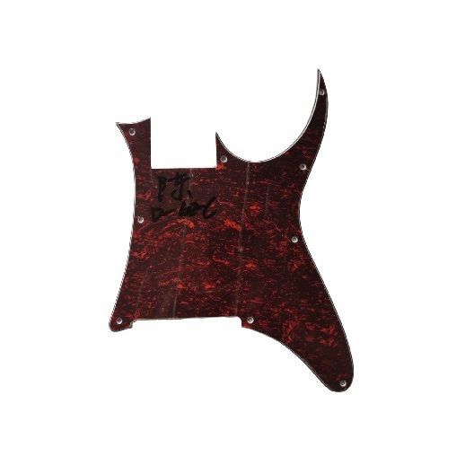 Escudo Para Guitarra Ibanez RG Tortoise Sem furo 4 ply