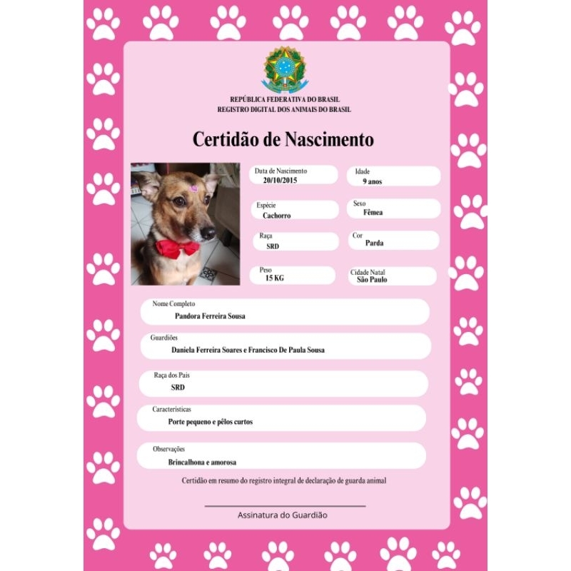 Certidão de nascimento Pet