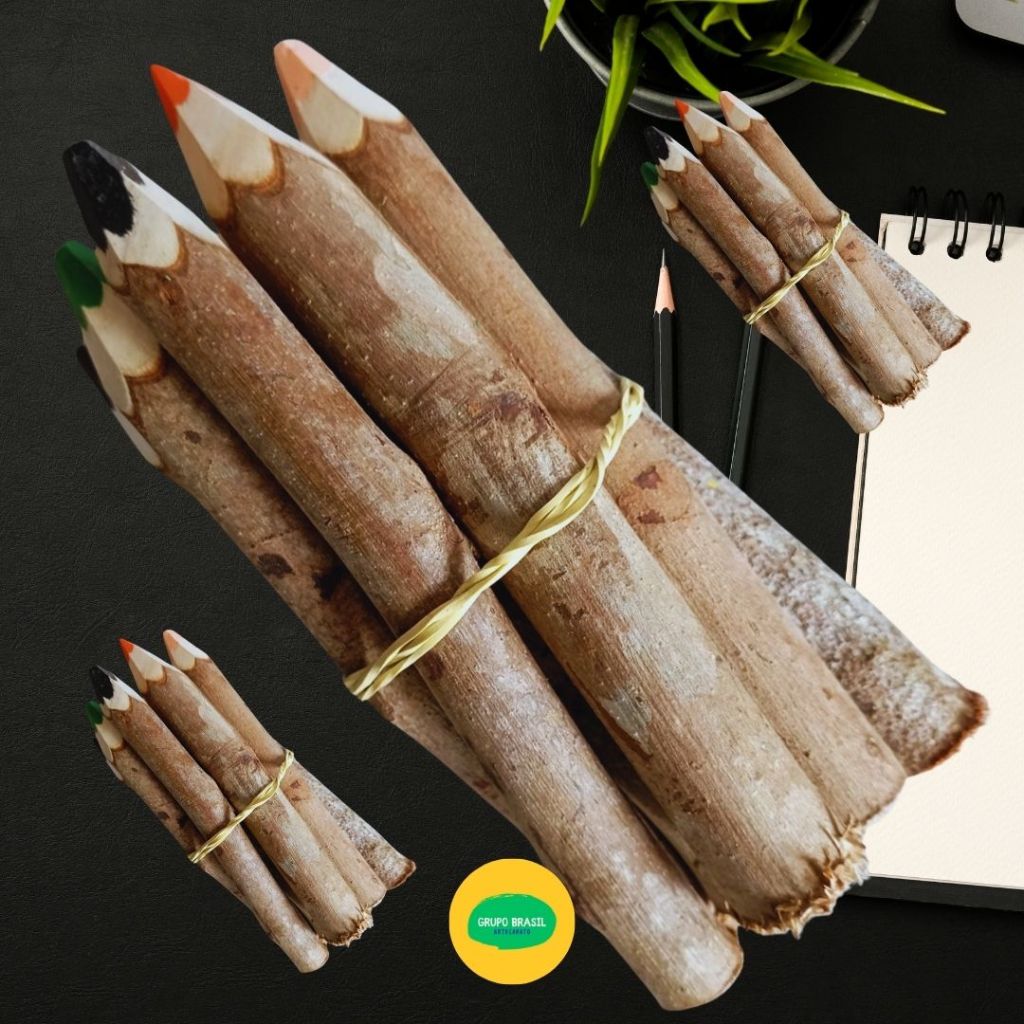 Lápis de Cor Artesanal Decorativo Funcional Madeira (Kit 3 Conjunto com 10 Lápis) em Oferta na Shopee