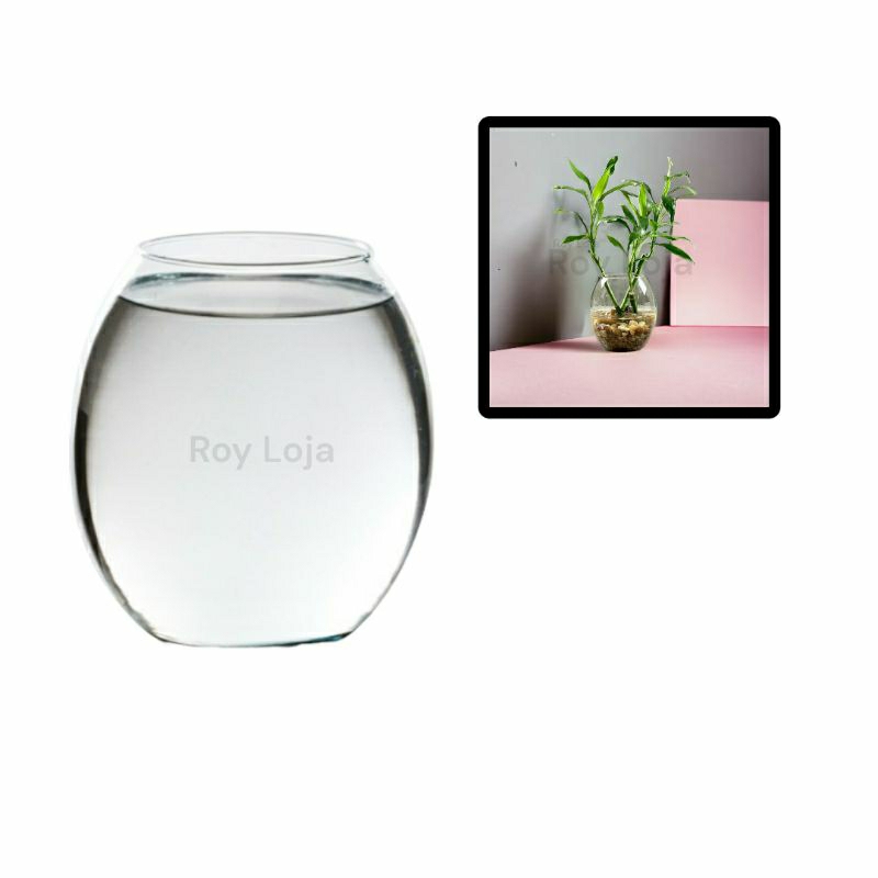 Vaso Barrica 2.5 litro Vidro transparente Enfeite terrario Decoração Aranjo Flores