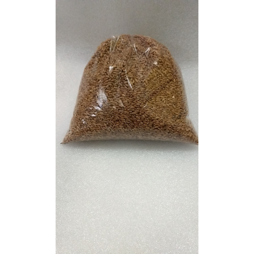 Semente de Trigo para Plantar: Onde Comprar | BuscaProdutos