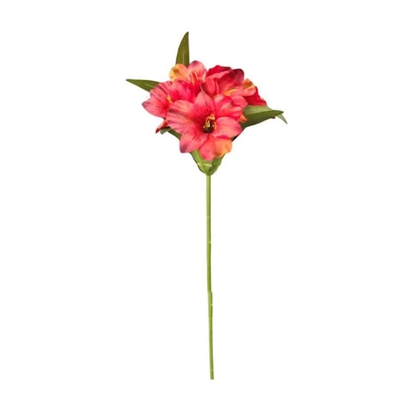 Astromélia Vermelha: Onde Comprar | BuscaProdutos