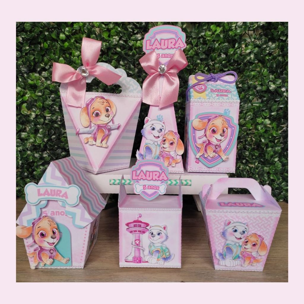 20 Caixas Personalizadas SKye e a turma patrulha Canina em Oferta na Shopee