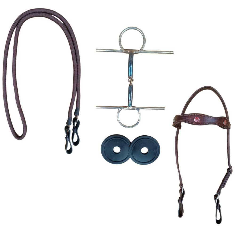 Bridao Agulha: Guia Completo e Onde Comprar | BuscaProdutos